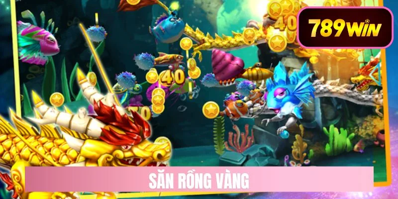 săn rồng vàng